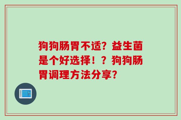 狗狗肠胃不适？益生菌是个好选择！？狗狗肠胃调理方法分享？