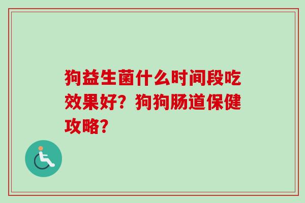 狗益生菌什么时间段吃效果好？狗狗肠道保健攻略？