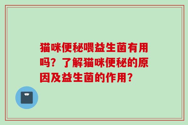 猫咪喂益生菌有用吗？了解猫咪的原因及益生菌的作用？