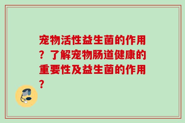 宠物活性益生菌的作用？了解宠物肠道健康的重要性及益生菌的作用？