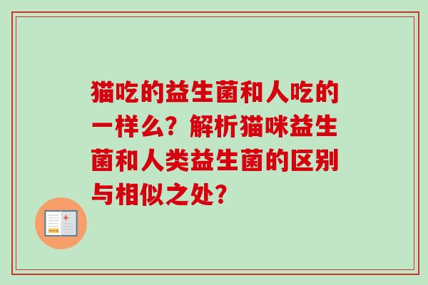 猫吃的益生菌和人吃的一样么？解析猫咪益生菌和人类益生菌的区别与相似之处？