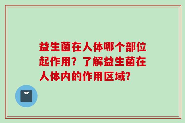 益生菌在人体哪个部位起作用?了解益生菌在人体内的作用区域? 益生菌在人体哪个部位起作用?了解益生菌在人体内的作用区域?