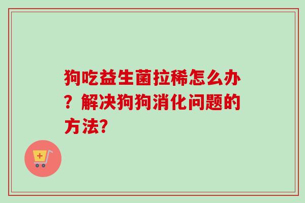 狗吃益生菌拉稀怎么办？解决狗狗消化问题的方法？