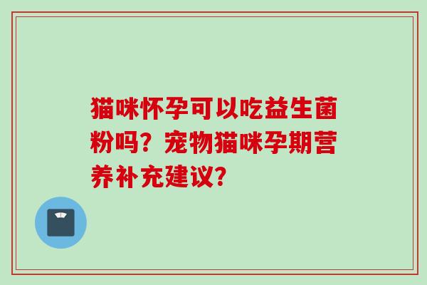 猫咪怀孕可以吃益生菌粉吗？宠物猫咪孕期营养补充建议？