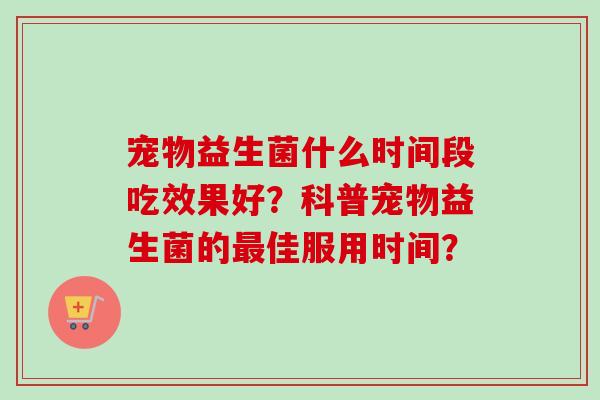 宠物益生菌什么时间段吃效果好？科普宠物益生菌的佳服用时间？