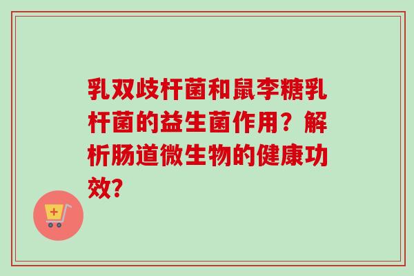 乳双歧杆菌和鼠李糖乳杆菌的益生菌作用？解析肠道微生物的健康功效？