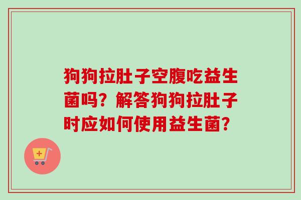 狗狗拉肚子空腹吃益生菌吗?解答狗狗拉肚子时应如何使用益生菌? 狗狗拉肚子空腹吃益生菌吗?解答狗狗拉肚子时应如何使用益生菌?