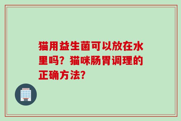 猫用益生菌可以放在水里吗?猫咪肠胃调理的正确方法? 猫用益生菌可以放在水里吗?猫咪肠胃调理的正确方法?