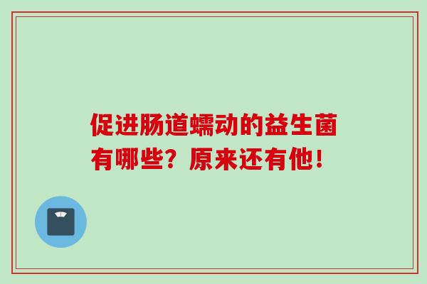 促进肠道蠕动的益生菌有哪些？原来还有他！