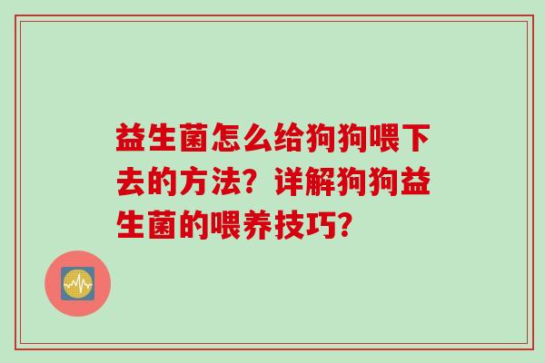 益生菌怎么给狗狗喂下去的方法？详解狗狗益生菌的喂养技巧？