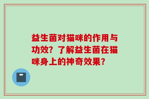 益生菌对猫咪的作用与功效？了解益生菌在猫咪身上的神奇效果？