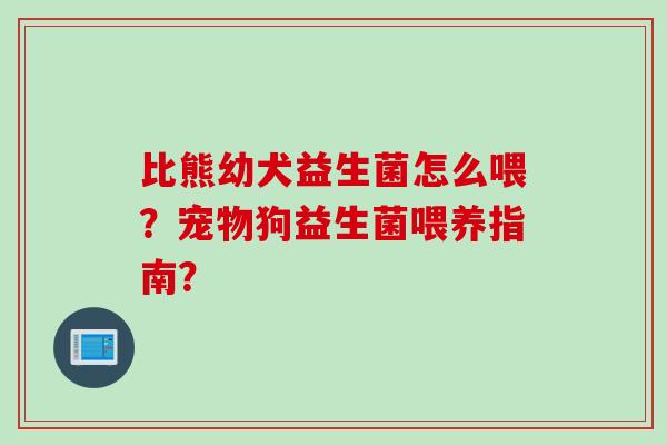 比熊幼犬益生菌怎么喂？宠物狗益生菌喂养指南？