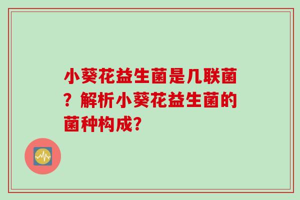 小葵花益生菌是几联菌？解析小葵花益生菌的菌种构成？