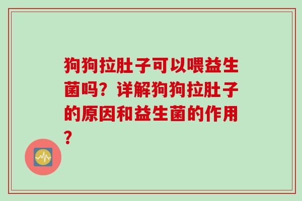 狗狗拉肚子可以喂益生菌吗？详解狗狗拉肚子的原因和益生菌的作用？