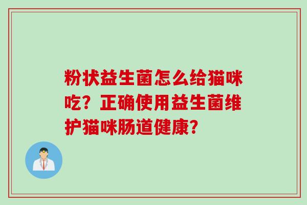 粉状益生菌怎么给猫咪吃？正确使用益生菌维护猫咪肠道健康？