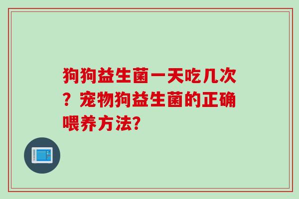 狗狗益生菌一天吃几次?宠物狗益生菌的正确喂养方法? 狗狗益生菌一天吃几次?宠物狗益生菌的正确喂养方法?