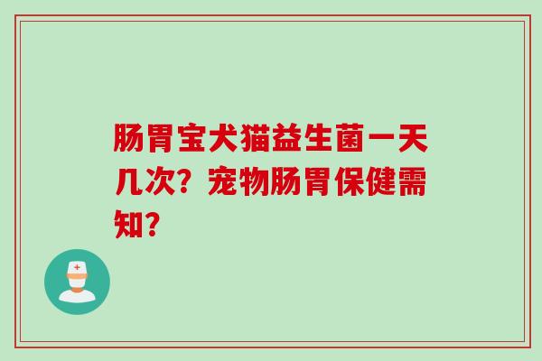 肠胃宝犬猫益生菌一天几次?宠物肠胃保健需知? 肠胃宝犬猫益生菌一天几次?宠物肠胃保健需知?