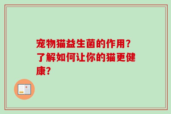 宠物猫益生菌的作用？了解如何让你的猫更健康？