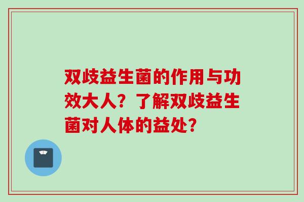 双歧益生菌的作用与功效大人？了解双歧益生菌对人体的益处？