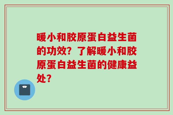 暖小和胶原蛋白益生菌的功效？了解暖小和胶原蛋白益生菌的健康益处？