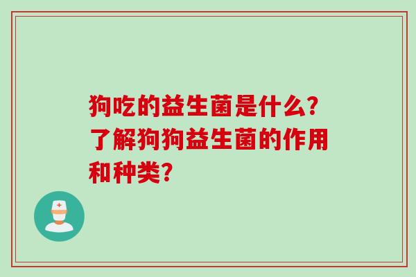 狗吃的益生菌是什么?了解狗狗益生菌的作用和种类? 狗吃的益生菌是什么?了解狗狗益生菌的作用和种类?