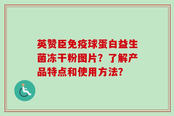 英赞臣球蛋白益生菌冻干粉图片？了解产品特点和使用方法？