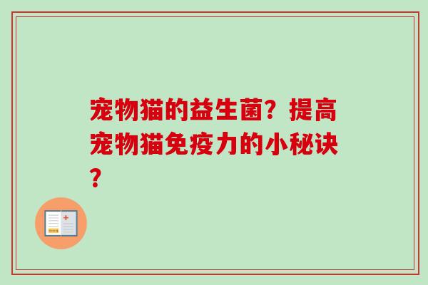 宠物猫的益生菌？提高宠物猫力的小秘诀？