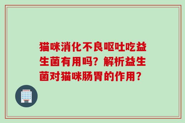 猫咪吃益生菌有用吗？解析益生菌对猫咪肠胃的作用？