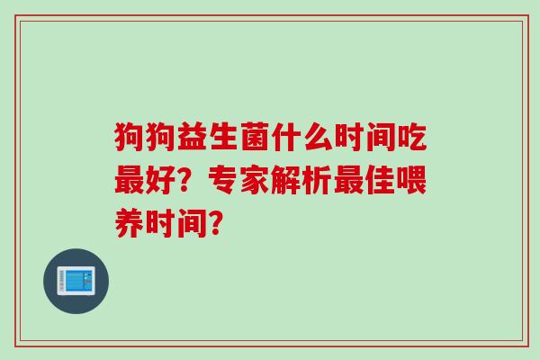 狗狗益生菌什么时间吃好？专家解析佳喂养时间？