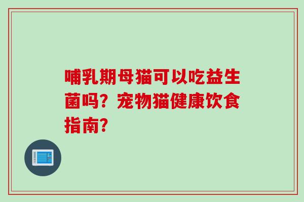 哺乳期母猫可以吃益生菌吗?宠物猫健康饮食指南? 哺乳期母猫可以吃益生菌吗?宠物猫健康饮食指南?