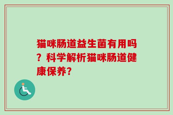 猫咪肠道益生菌有用吗?科学解析猫咪肠道健康保养? 猫咪肠道益生菌有用吗?科学解析猫咪肠道健康保养?