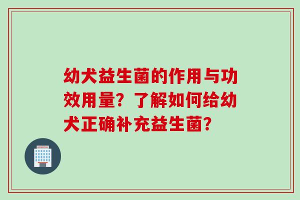 幼犬益生菌的作用与功效用量？了解如何给幼犬正确补充益生菌？