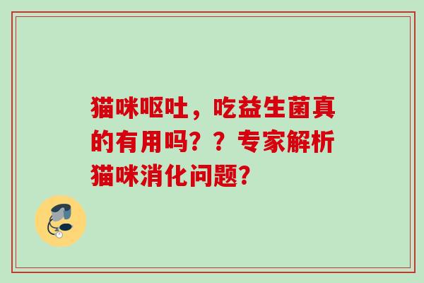 猫咪,吃益生菌真的有用吗??专家解析猫咪消化问题? 猫咪,吃益生菌真的有用吗??专家解析猫咪消化问题?