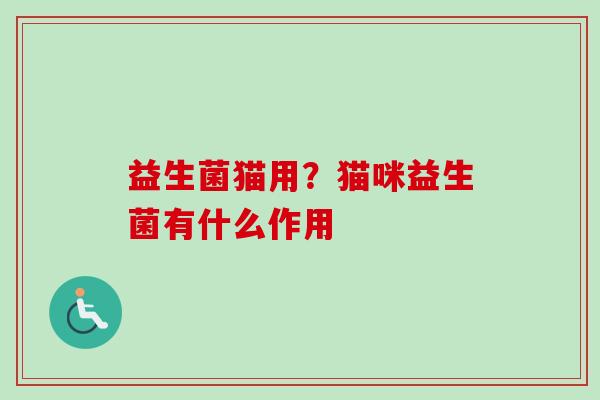 益生菌猫用？猫咪益生菌有什么作用