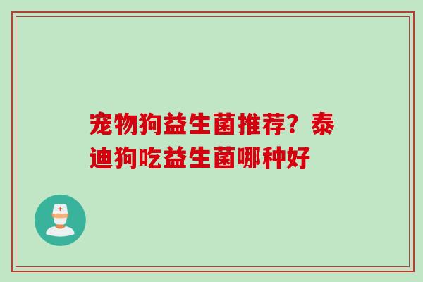 宠物狗益生菌推荐？泰迪狗吃益生菌哪种好