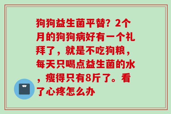 狗狗益生菌平替？2个月的狗狗好有一个礼拜了，就是不吃狗粮，每天只喝点益生菌的水，瘦得只有8斤了。看了心疼怎么办