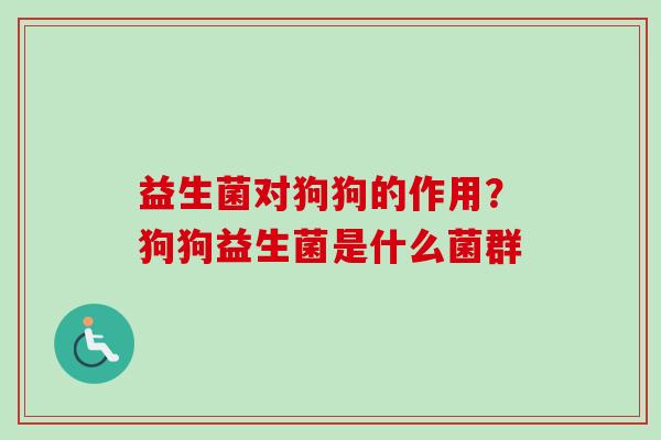 益生菌对狗狗的作用？狗狗益生菌是什么菌群