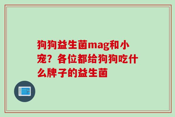 狗狗益生菌mag和小宠？各位都给狗狗吃什么牌子的益生菌