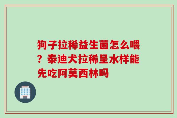 狗子拉稀益生菌怎么喂？泰迪犬拉稀呈水样能先吃阿莫西林吗