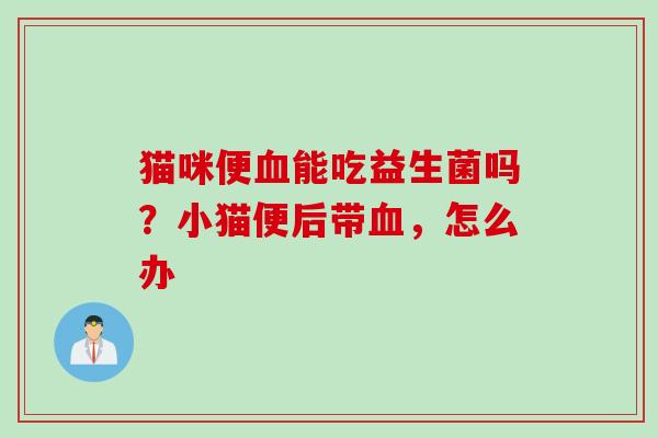 猫咪便能吃益生菌吗？小猫便后带，怎么办