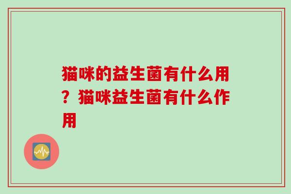 猫咪的益生菌有什么用?猫咪益生菌有什么作用 猫咪的益生菌有什么用?猫咪益生菌有什么作用