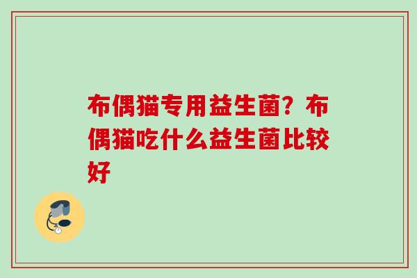 布偶猫专用益生菌?布偶猫吃什么益生菌比较好 布偶猫专用益生菌?布偶猫吃什么益生菌比较好