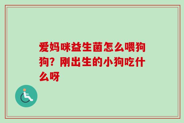 爱妈咪益生菌怎么喂狗狗?刚出生的小狗吃什么呀 爱妈咪益生菌怎么喂狗狗?刚出生的小狗吃什么呀