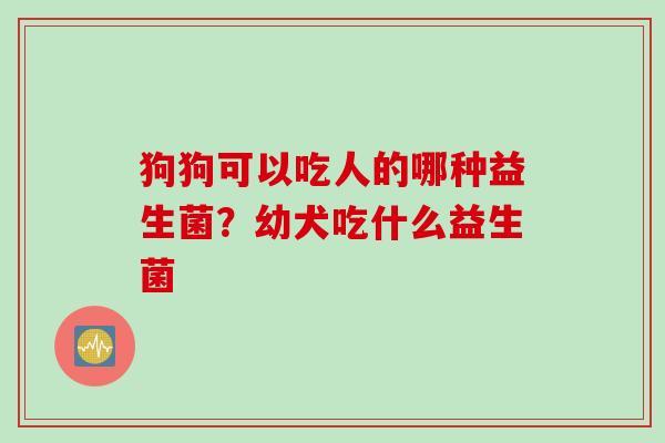 狗狗可以吃人的哪种益生菌？幼犬吃什么益生菌