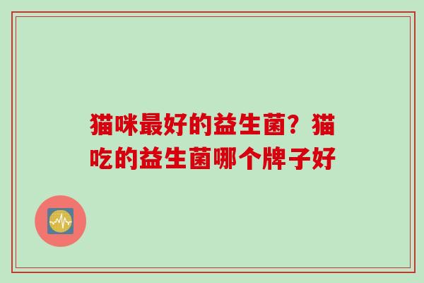 猫咪好的益生菌?猫吃的益生菌哪个牌子好 猫咪好的益生菌?猫吃的益生菌哪个牌子好