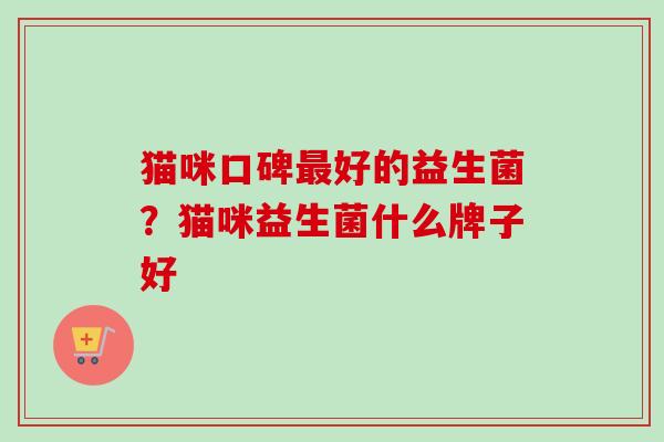 猫咪口碑好的益生菌？猫咪益生菌什么牌子好