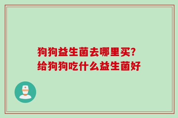 狗狗益生菌去哪里买？给狗狗吃什么益生菌好