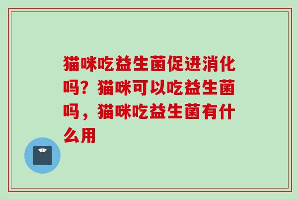 猫咪吃益生菌促进消化吗？猫咪可以吃益生菌吗，猫咪吃益生菌有什么用