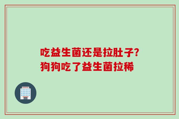 吃益生菌还是拉肚子？狗狗吃了益生菌拉稀
