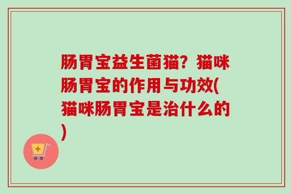 肠胃宝益生菌猫？猫咪肠胃宝的作用与功效(猫咪肠胃宝是什么的)